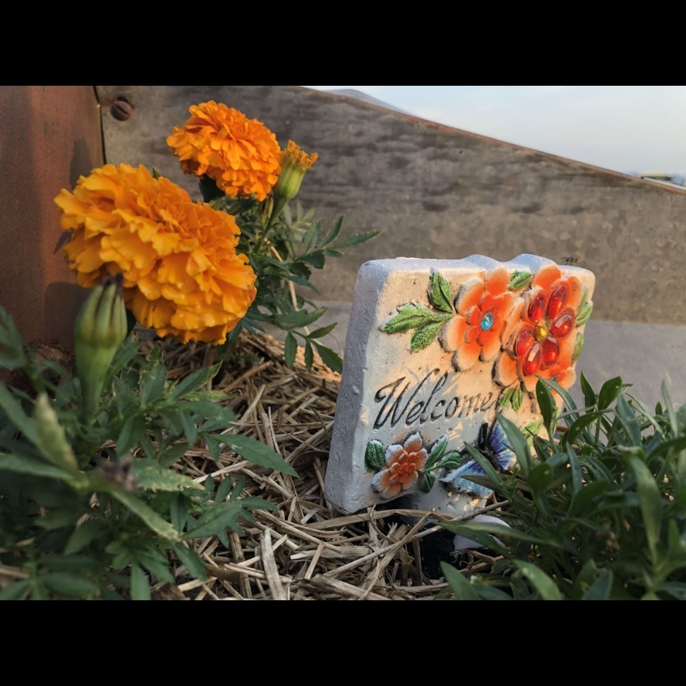 Meet your Posher, Truth